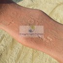 전주팔복초등학교 이미지