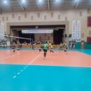 메카스포츠 이미지