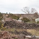 바우네 민박 이미지