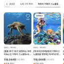 주식회사 포시즌 | 미국 자유여행 투어 20만원대? 명예의 전당 21만원 쿠폰팩으로 그랜드캐년 요세미티 정복하기