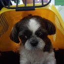 서래동물병원 이미지