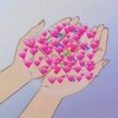 애견세상 이미지