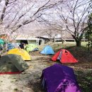 추섬민박 이미지