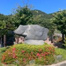 [경남/통영] 통영경찰수련원 4인실 원룸 산뷰 솔직후기