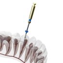 중앙플란트치과의원 이미지