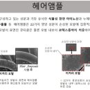 염색&두피 해운대점