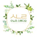 수노리스튜디오 이미지