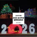 사무라이통신 | 2025 오사카성 일루미네이션 현장 발권 당황 후기 & 티켓 할인 예약 (신규 테마/가는 법)