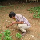 이원규농장 이미지