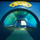 화진포해양박물관 이미지