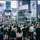 생활 영어(기초) 이미지