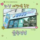 반려견토탈케어서비스 휴안 | 하남애견미용 블루멍멍 최신장비로 강아지 미용과 위생목욕을 한 번에