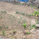 삼양공인중개사사무소 이미지