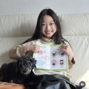 개냥이 연구소 이미지