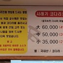 신코다리네