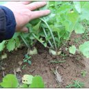 재학농장 이미지