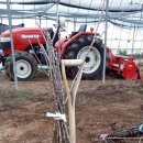 장선목장 이미지