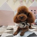 문정미용타운 이미지