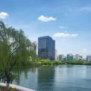 마이서울바이츠(My Seoul Bites) 이미지