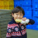 여량농협 찰옥수수 가공공장 이미지