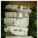 화훼장식 기능사(꽃꽂이) 이미지