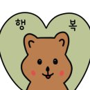 다온 합기도 이미지