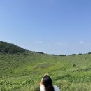 여전히 제주 이미지