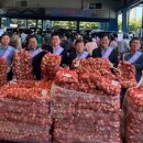 단양농업협동조합(농산물판매) 이미지