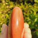 수정-137 이미지