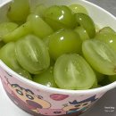 [Yeoni 하루] 요아정 요거트아이스크림의정석 부산사상점 후기
