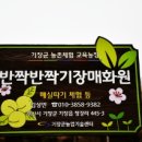 매화원 | 부산 봄 여행지 추천 🌸 기장 기장매화원 솔직후기 (주차, 개화상황, 사진스팟 총정리)