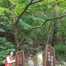 오색주점 이미지