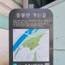 까치공원 맞은편 | 서울 성동구 봄꽃 나들이 마지막 코스는 응봉산(4/4)