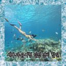 세부자유여행 일정/경비/준비물 체크리스트