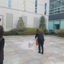 광명메모리얼파크 이미지