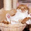 말랑말랑 이미지