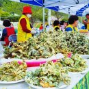 엄소리마을회관 이미지