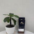 세무법인바로중 이미지