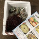 완도20호 이미지