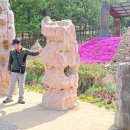 화개농원 이미지