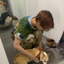 승연스토리