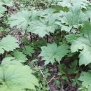 내방농장 이미지