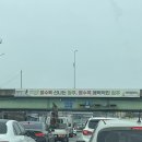 미원천 | [청주] 4월 18일 미원천 벚꽃 구경