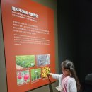 풀잎마루반의 봄소풍 - 국립농업박물관&어린이박물관 이미지
