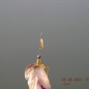 황룡강낚시터 이미지