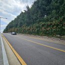 공원로352번길 이미지