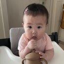 티지엠 이미지