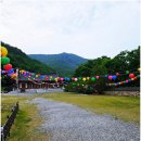 충북 영동 가볼만한곳 반야사 백화산 품은 고즈넉한 사찰 여행 후기