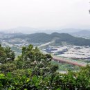 계백축산