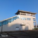 용문산 은행나무길(물소리길 6코스) 이미지